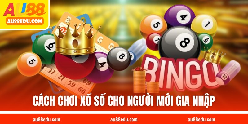 Cách chơi xổ số cho người mới gia nhập